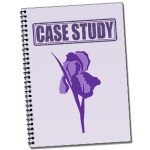 Writing the Case Study | UNSW Current Students