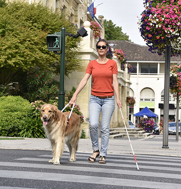 girl walking with service dog and cane
