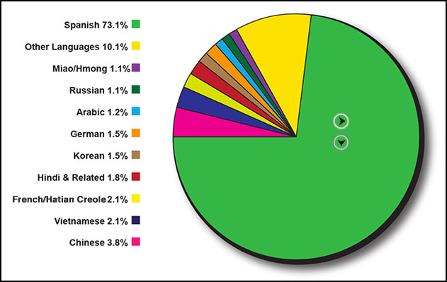 pie chart of language diversity