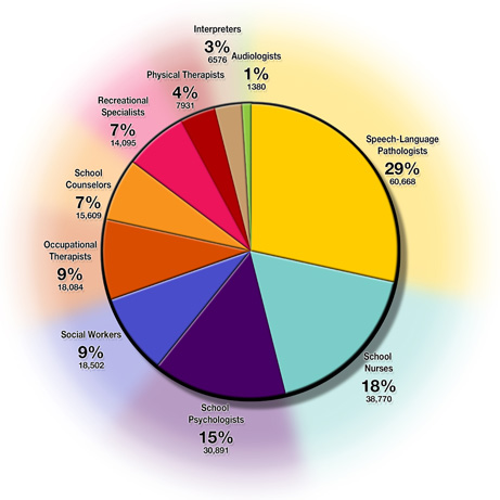 percentages of related service providers by the type of service
