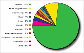Most Spoken Languages in Homes icon