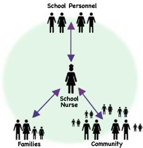 Diagram: Arrows pointing both to and from the school nurse to school personnel, families, and community.