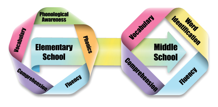The words “Elementary School” are surrounded by five essential reading skills: phonological awareness, phonics, fluency, comprehension, and vocabulary.  There is an arrow from “Elementary” to “Middle School.”  Middle School is likewise surrounded by a list of essential reading skills: word identification, fluency, comprehension, and vocabulary.