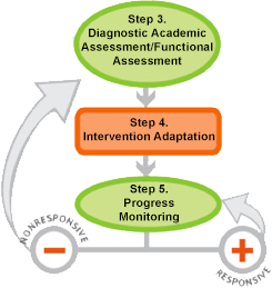 last three steps of the DBI  process (i.e., diagnostic assessment, intervention adaptation,  progress monitoring) 