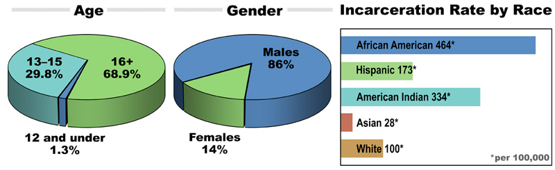 p_1-infographic-top-pie-charts-horiz