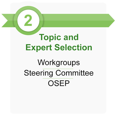 Topic and Expert Selection, Workgroups, Steering Committee,OSEP