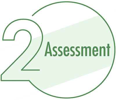 2 - assessment