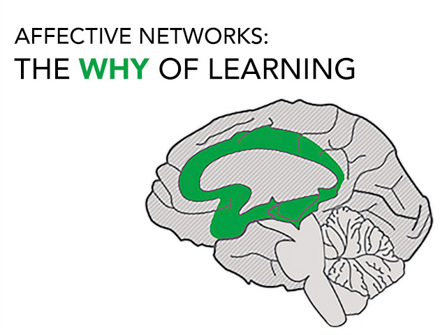 The image is titled Affective Networks: The Why of Learning. It contains an image of the human brain with green color coding that indicates the central portion of the brain or the affective networks.