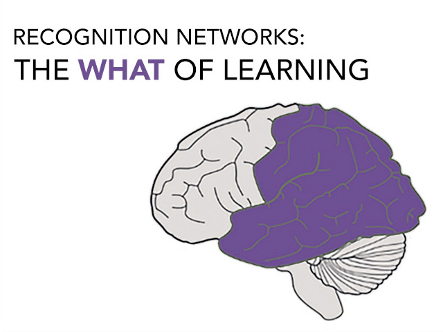 The image is titled Recognition Networks: The What of Learning. It contains an image of the human brain with purple color coding that indicates the posterior portion of the brain or the recognition networks.