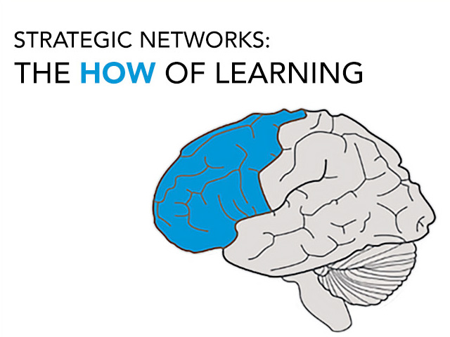 The image is titled Strategic Networks: The How of Learning. It contains an image of the human brain with blue color coding that indicates the anterior portion of the brain or the strategic networks.
