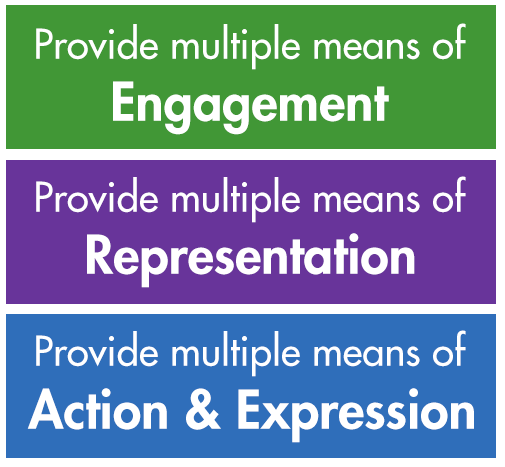 providing multiple means of engagement, representation, and action and expression