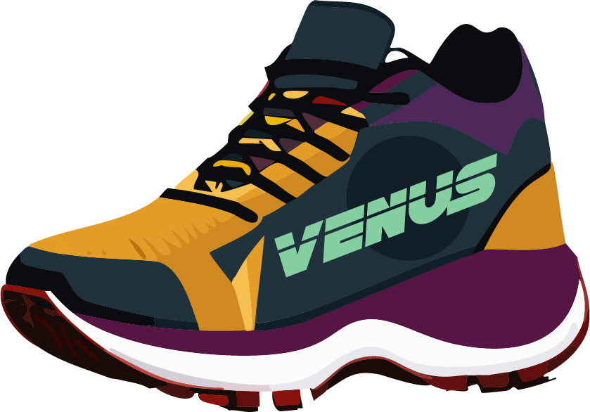 Sneaker with the word Venus on it