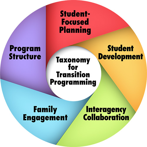 Taxonomy for Transition Programming