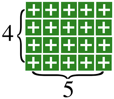 ධනාත්මක හරිත කුට්ටි 4 x 5 ජාලකය